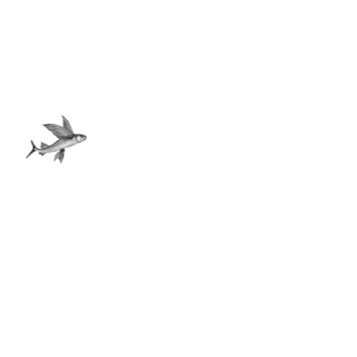 Alpha Volantis
